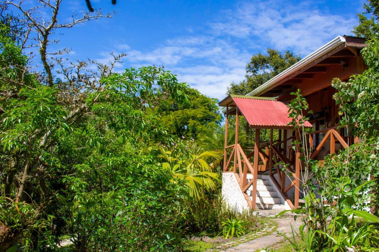 Hotel Holístico Monteverde Exterior foto